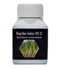 Katyayani Garuda Bispyribac Sodium 10% SC 100 ml